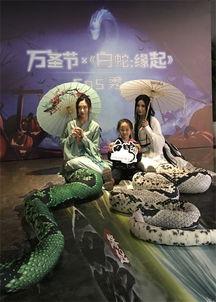 青蛇白蛇爆料视频大全,揭秘经典神话背后的故事